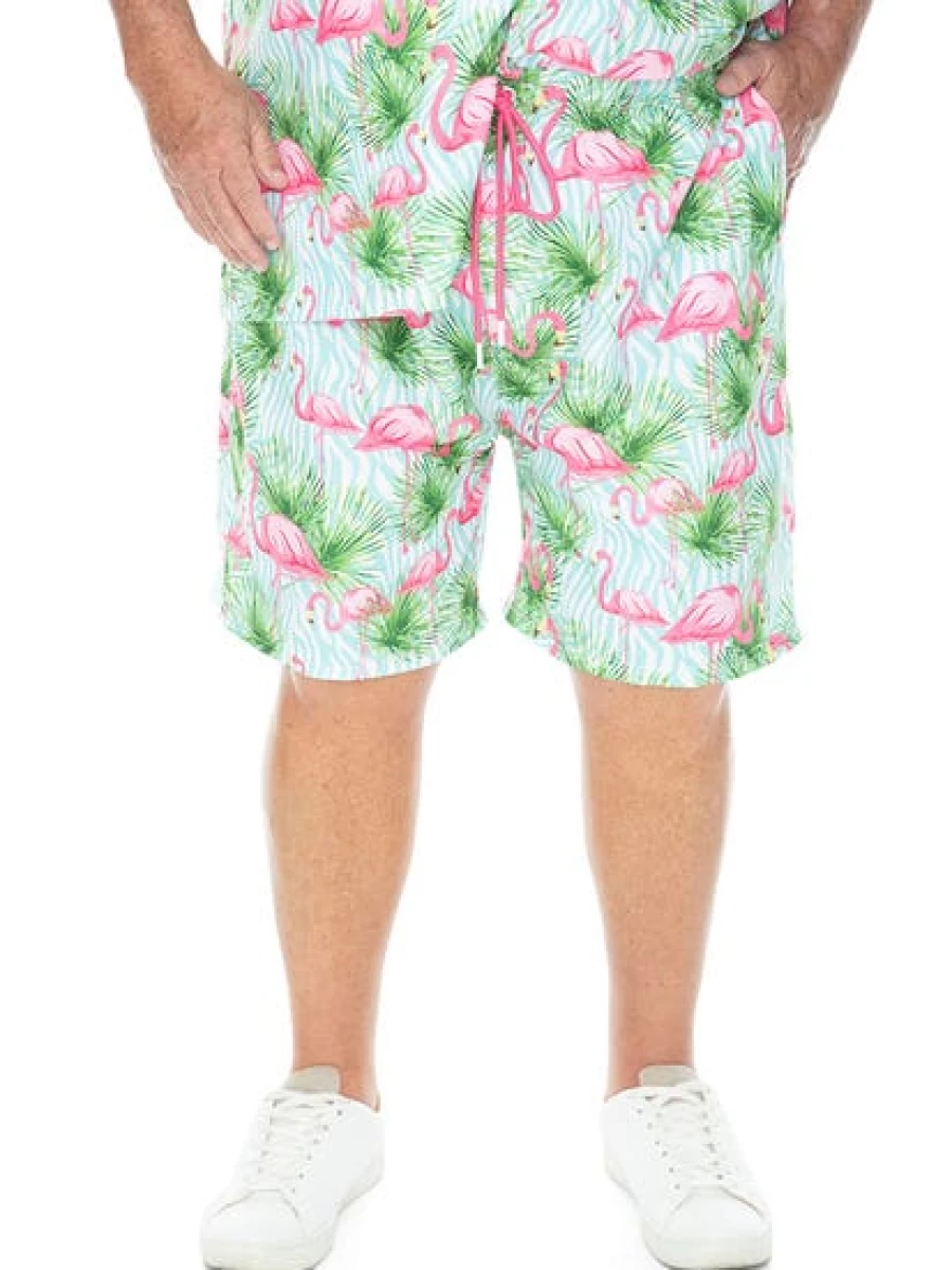 Riley Adams Men's Flamingo Print Casual Shorts for Big & Tall Summer Party Beachwear