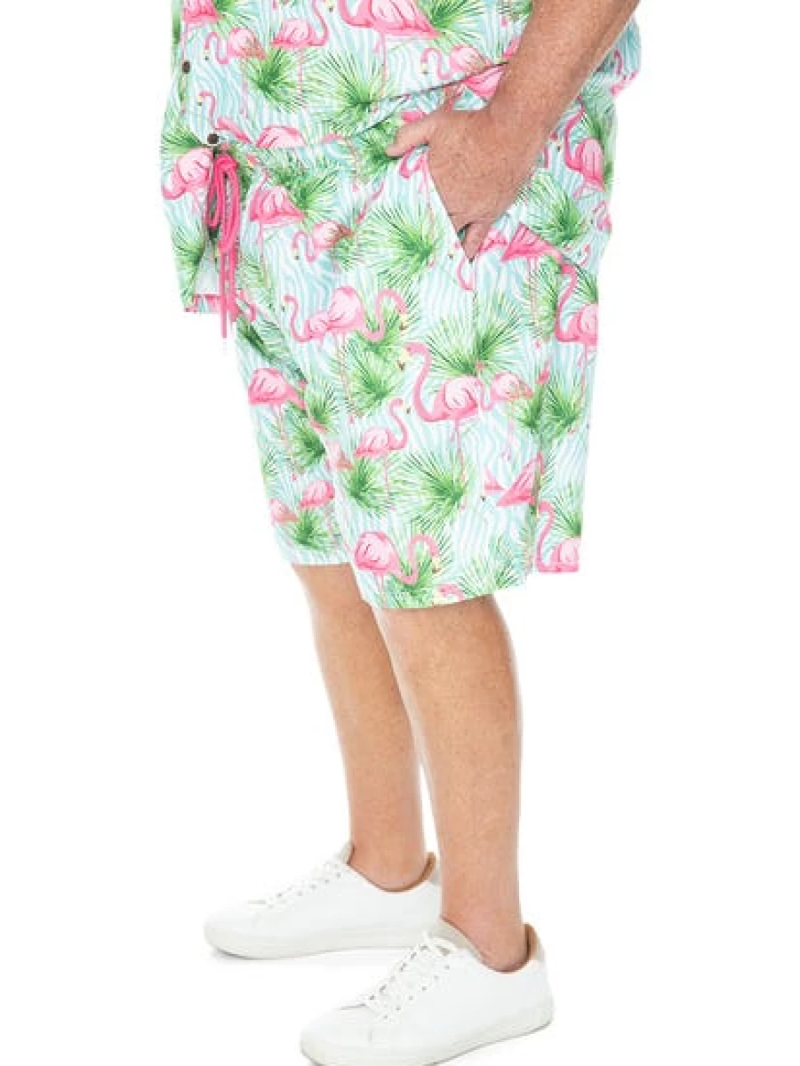 Riley Adams Men's Flamingo Print Casual Shorts for Big & Tall Summer Party Beachwear