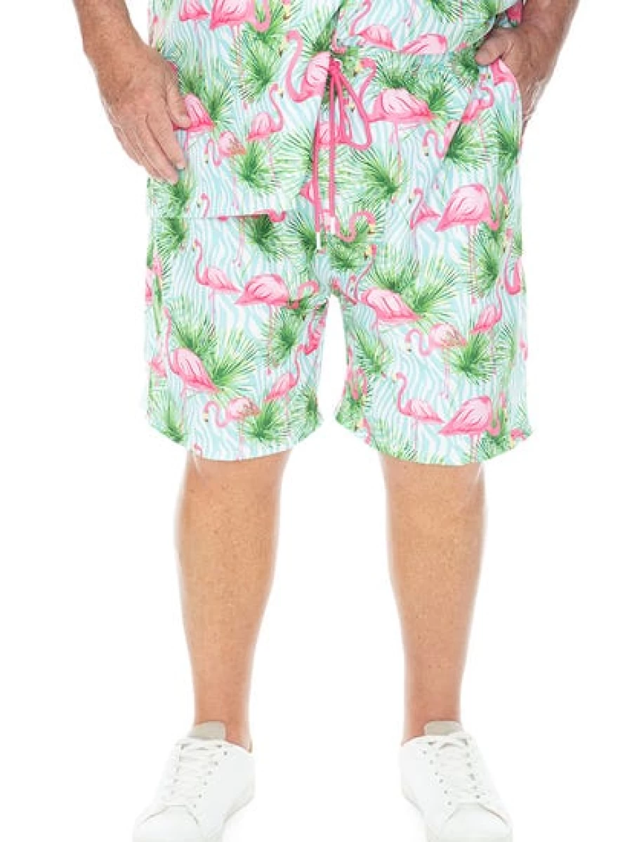 Riley Adams Men's Flamingo Print Casual Shorts for Summer Parties