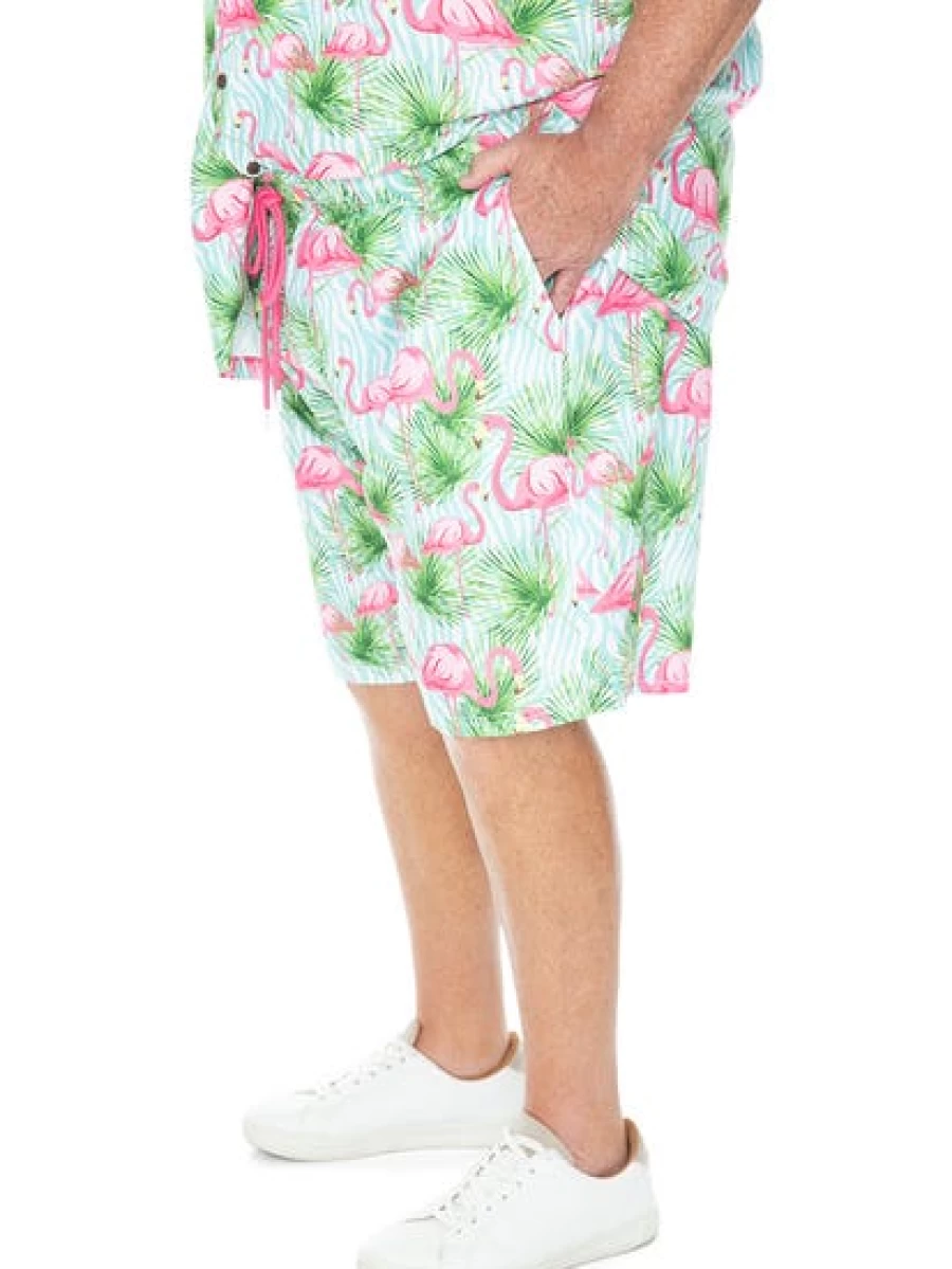 Riley Adams Men's Flamingo Print Casual Shorts for Summer Parties